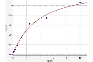 Casein Kinase 1 delta ELISA Kit