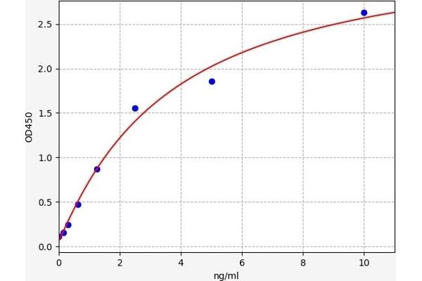 Casein Kinase 1 delta ELISA Kit