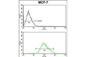 PDK3 Antibody (ABIN652286 and ABIN2841205) FC analysis of MCF-7 cells (bottom histogram) compared to a negative control cell (top histogram).