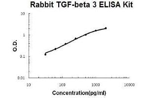 Rabbit TGF-beta 3 PicoKine ELISA Kit standard curve