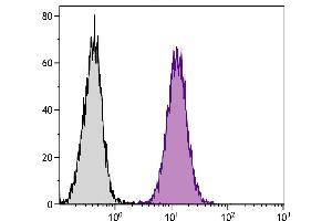 Mouse Mφ cells were intracellularly stained with Rat  Anti-Mouse CD107a-APC. (LAMP1 antibody  (APC))