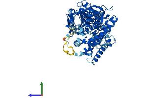 Protein Structure (PS) image for thromboxane A Synthase 1 (Platelet) (TBXAS1) (AA 1-533) protein (His tag) (ABIN7544252)