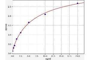 PVRL1 ELISA Kit