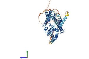 AlphaFold protein structure predicition of Mouse Recombinant Slc19a3 Protein, UniprotID Q99PL8
