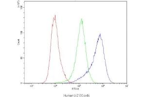 Flow cytometry testing of human U-2 OS cells with Dynamin 1 antibody at 1ug/10^6 cells (blocked with goat sera) (Dynamin 1 antibody)