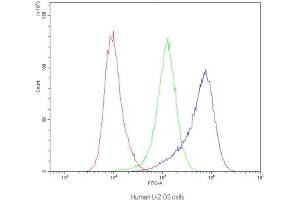 Flow cytometry testing of human U-2 OS cells with Dynamin 1 antibody at 1ug/10^6 cells (blocked with goat sera)