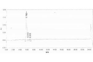 Image no. 2 for Proline Rich, Lacrimal 1 (PROL1) protein (Ovalbumin) (ABIN2127460) (PROL1 Protein (Ovalbumin))