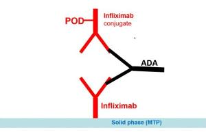 Image no. 1 for Infliximab Antibody ELISA Kit (ABIN2862658) (Infliximab Antibody ELISA Kit)