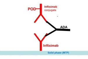 Image no. 1 for Infliximab Antibody ELISA Kit (ABIN2862658)