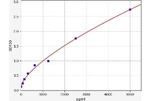 Typical standard curve (RAP1A ELISA Kit)