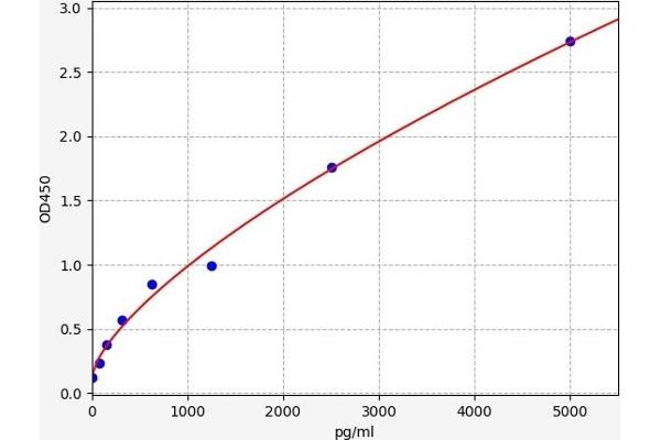 RAP1A ELISA Kit