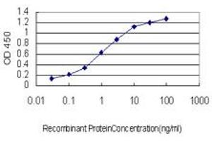 Detection limit for recombinant GST tagged GOLGB1 is approximately 0. (Golgin B1 (GOLGB1) (AA 3-91) antibody)