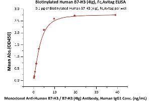 B7-H3 (4Ig) (AA 27-461) (Active) protein (Fc Tag,AVI tag,Biotin)