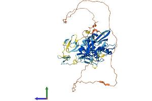 AlphaFold protein structure predicition of Mouse Recombinant Clec18a Protein, UniprotID Q7TSQ1