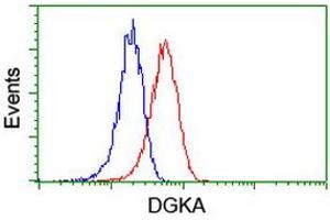 Flow cytometric Analysis of Jurkat cells, using anti-DGKA antibody (ABIN2455378), (Red), compared to a nonspecific negative control antibody, (Blue). (DGKA antibody)