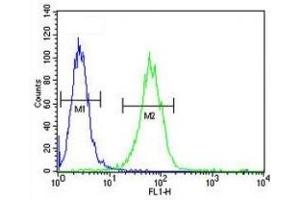 SOX4 antibody flow cytometric analysis of A2058 cells (green) compared to a  (SOX4 antibody  (AA 86-114))
