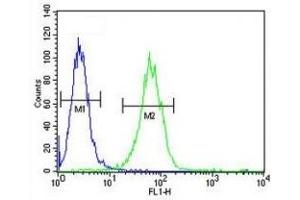 SOX4 antibody flow cytometric analysis of A2058 cells (green) compared to a 
