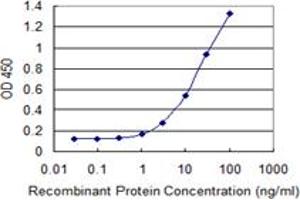 Detection limit for recombinant GST tagged OXSR1 is 0. (OXSR1 antibody  (AA 1-527))