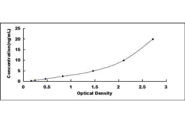 ADRB1 ELISA Kit