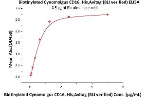 Immobilized Rituximab at 5 μg/mL (100 μL/well) can bind Biotinylated Cynomolgus CD16, His,Avitag (BLI verified) (ABIN5674580,ABIN6253652) with a linear range of 0.