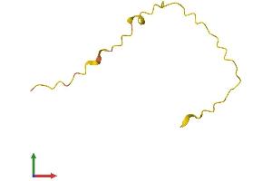 AlphaFold protein structure predicition of Human Recombinant LINC01558 Protein, UniprotID Q9Y6Z2 (C6orf123 Protein (AA 1-57) (Fc Tag))