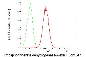 Flow cytometric analysis of Phosphoglycerate dehydrogenase expression in C2C12 cells using Phosphoglycerate dehydrogenase antibody (ABIN7799808), 1:1,000). (PHGDH antibody)