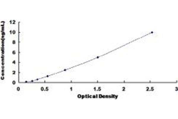 TIMP4 ELISA Kit