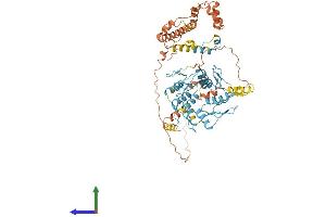 Protein Structure (PS) image for Zinc Finger Protein 285A (ZNF285A) (AA 1-590) protein (His tag) (ABIN7545456)