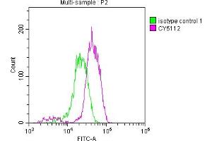 Flow Cytometry (FACS) image for anti-Epidermal Growth Factor Receptor (EGFR) antibody (ABIN7127467)
