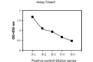 Image no. 1 for Receptor Tyrosine-Protein Kinase ErbB-3 (ERBB3) ELISA Kit (ABIN1981720) (ERBB3 ELISA Kit)