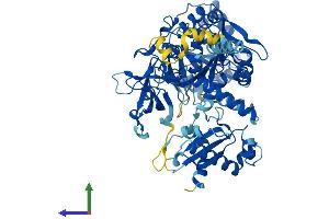 AlphaFold protein structure predicition of Mouse Recombinant Acsl1 Protein, UniprotID P41216 (ACSL1 Protein (AA 1-699) (His tag))