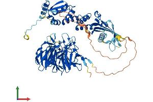 Protein Structure (PS) image for Influenza Virus NS1A Binding Protein (IVNS1ABP) (AA 1-642) protein (His tag) (ABIN7554780)