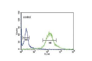 Flow cytometric analysis of Hela cells (right histogram) compared to a negative control cell (left histogram). (GTSE1 antibody  (C-Term))