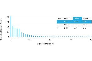 Protein Array (PAr) image for anti-Interleukin 10 (IL10) antibody (ABIN7456336) (IL-10 antibody)