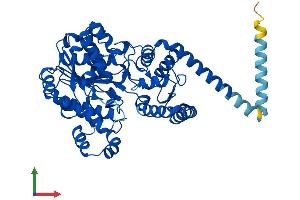 AlphaFold protein structure predicition of Human Recombinant FAR1 Protein, UniprotID Q8WVX9 (FAR1 Protein (AA 1-515) (His tag))