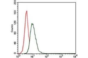 Flow Cytometry (FACS) image for anti-Heat Shock Protein 90kDa alpha (Cytosolic), Class A Member 1 (HSP90AA1) antibody (ABIN1107606)