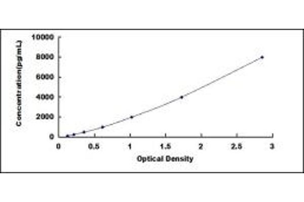 SFRP2 ELISA Kit