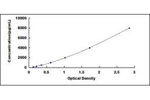 Typical standard curve (SFRP2 ELISA Kit)