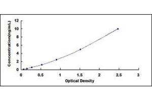 FPR2 ELISA Kit