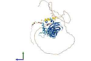 Protein Structure (PS) image for Early B-Cell Factor 2 (EBF2) (AA 1-575) protein (His tag) (ABIN7546705)
