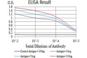 Black line: Control Antigen (100 ng),Purple line: Antigen (10 ng), Blue line: Antigen (50 ng), Red line:Antigen (100 ng) (ADAP1 antibody  (AA 240-370))