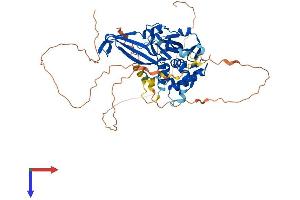 AlphaFold protein structure predicition of Human Recombinant USP17L18 Protein, UniprotID D6R9N7 (USP17L18 Protein (AA 1-530) (His tag))