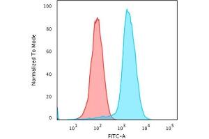 Flow Cytometric Analysis of Human Raji cells using HLA-Pan Mouse Recombinant Monoclonal Antibody (rHLA-Pan/3475)followed by Goat anti-Mouse IgG-CF488 (Blue); Isotype control (Red). (Recombinant MHC Class II HLA-DP/DQ/DR antibody)