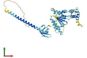 AlphaFold protein structure predicition of Human Recombinant PSMC4 Protein, UniprotID P43686