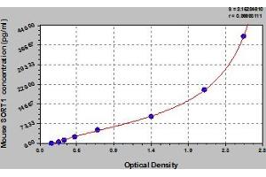 Typical Standard Curve (Sortilin 1 ELISA Kit)