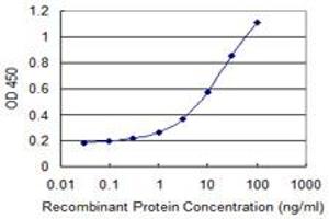 Detection limit for recombinant GST tagged EIF2S3 is 0. (EIF2S3 antibody  (AA 383-472))