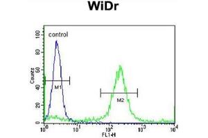 ADAMDEC1 Antibody (N-term) flow cytometric analysis of WiDr cells (right histogram) compared to a negative control cell (left histogram). (ADAMDEC1 antibody  (N-Term))