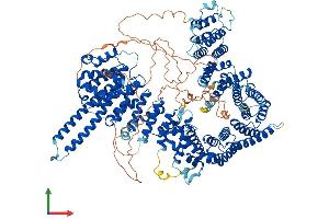 AlphaFold protein structure predicition of Human Recombinant STAG2 Protein, UniprotID Q8N3U4 (STAG2 Protein (AA 1-1231) (His tag))
