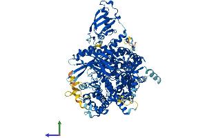 Protein Structure (PS) image for Phosphoinositide-3-Kinase, Catalytic, alpha Polypeptide (PIK3CA) (AA 1-1068) protein (His tag) (ABIN7563244)