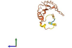 AlphaFold protein structure predicition of Human Recombinant HCP5 Protein, UniprotID Q6MZN7 (HCP5 Protein (AA 1-132) (His tag))